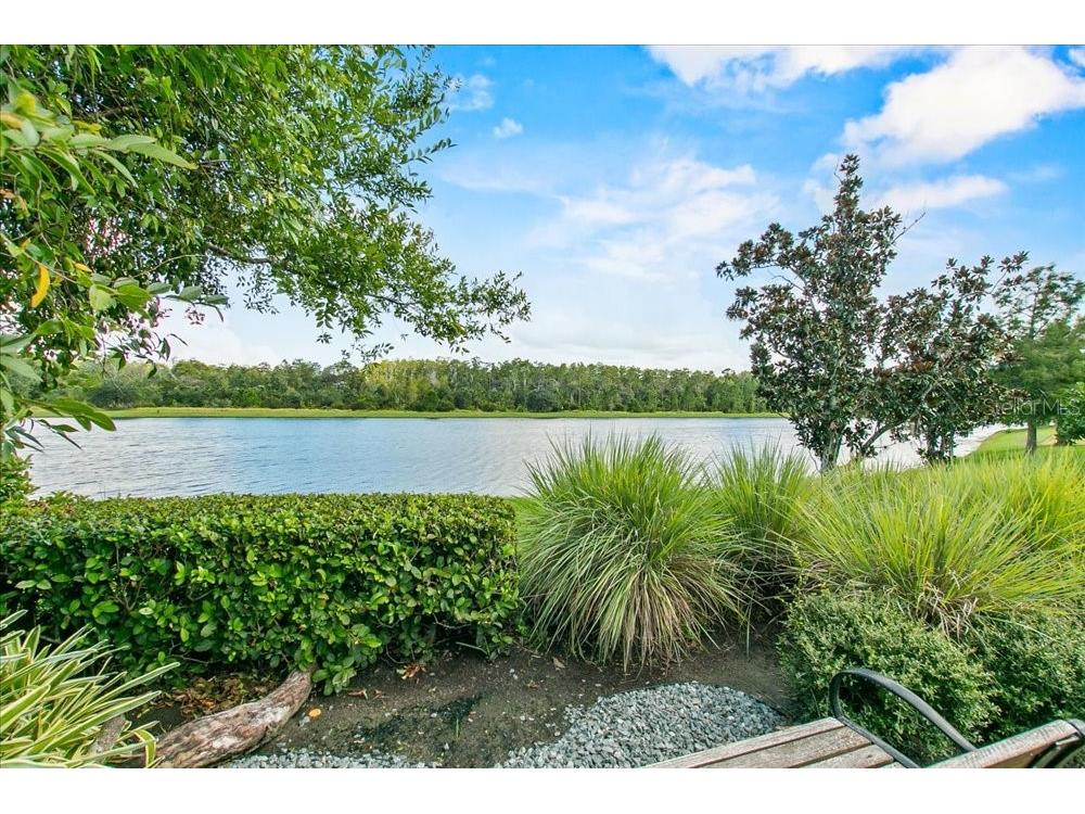 14129 Corrigan Avenue Orlando FL 32827 S5134101 image36