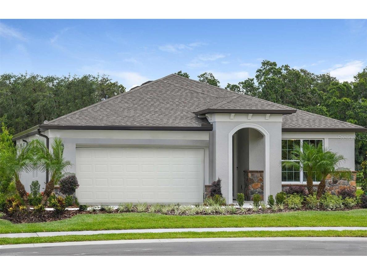 14129 Hammock Crest Way Riverview FL 33569 T3375036 image1