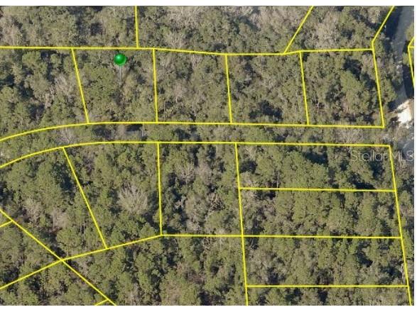 14129 Ricebird Avenue Weeki Wachee FL 34614 W7843648 image1