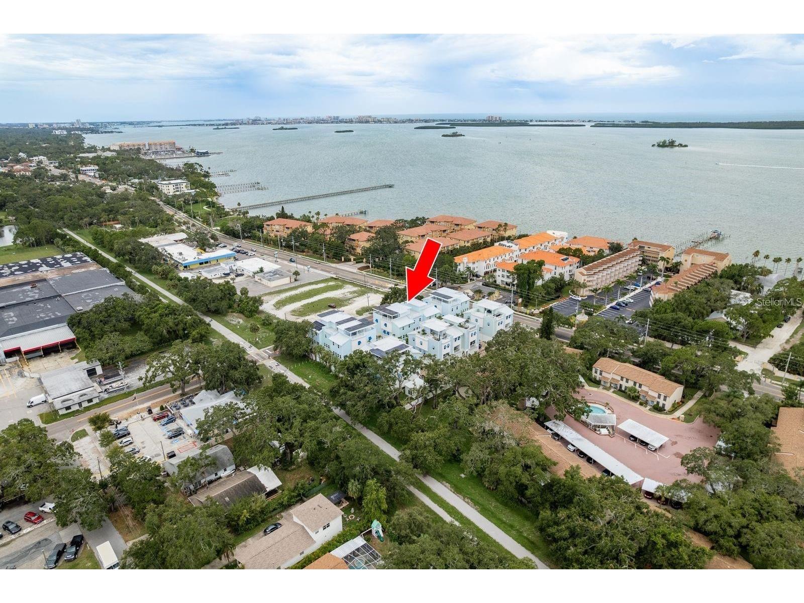 1413 Bayshore Boulevard #11 Dunedin FL 34698 TB8512075 image3