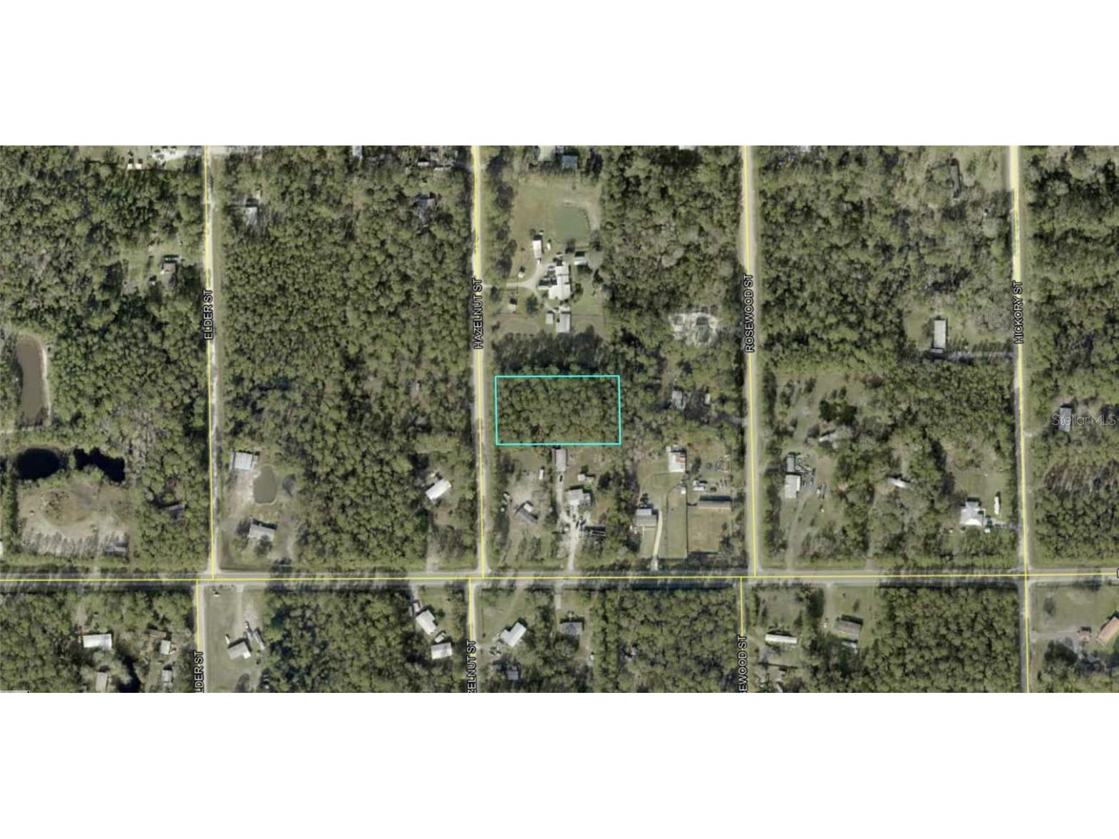 1413 Hazelnut Street Bunnell FL 32110 O6346465 image1