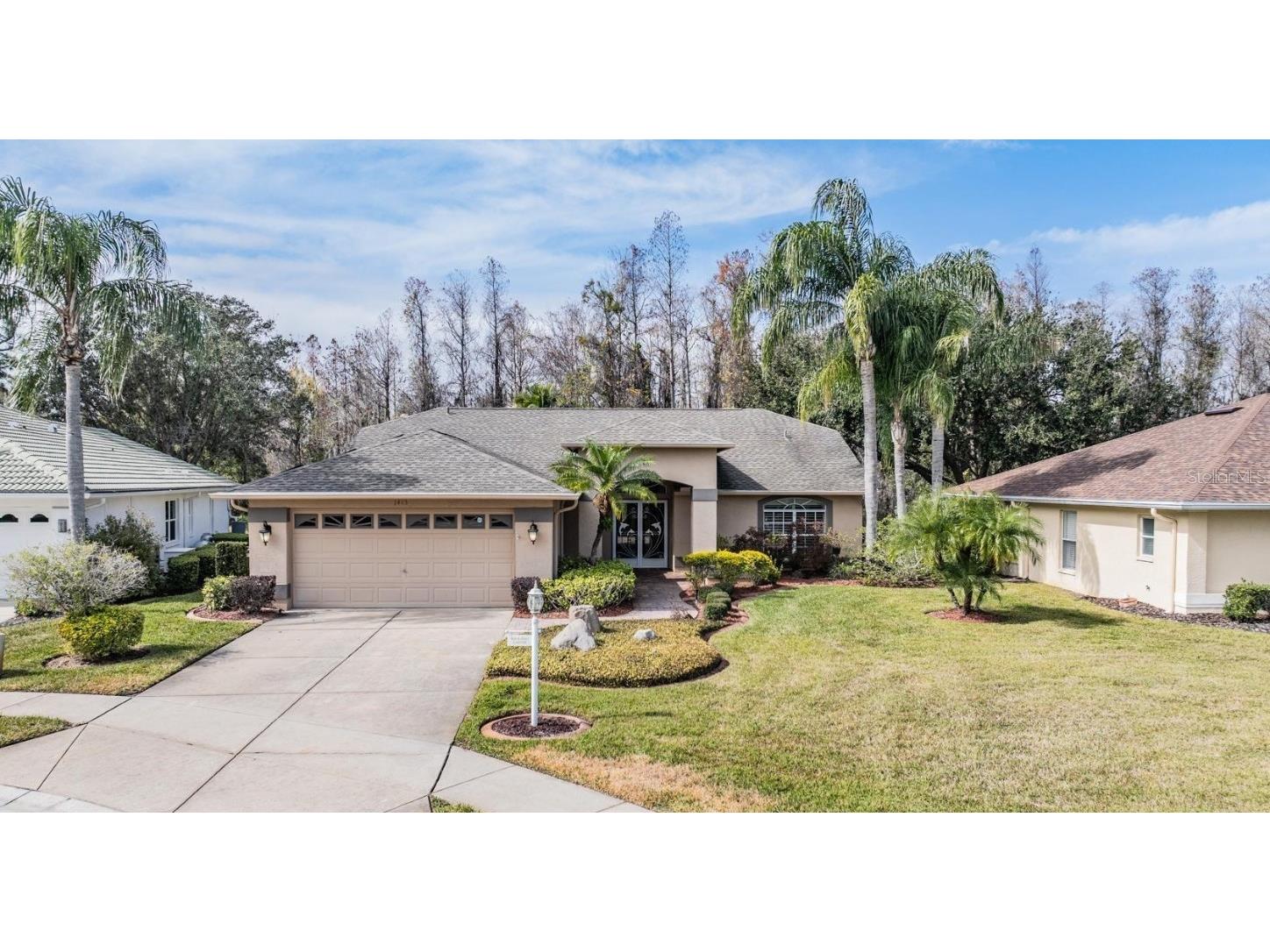 1413 Morning Rose Place Trinity FL 34655 W7871629 image1