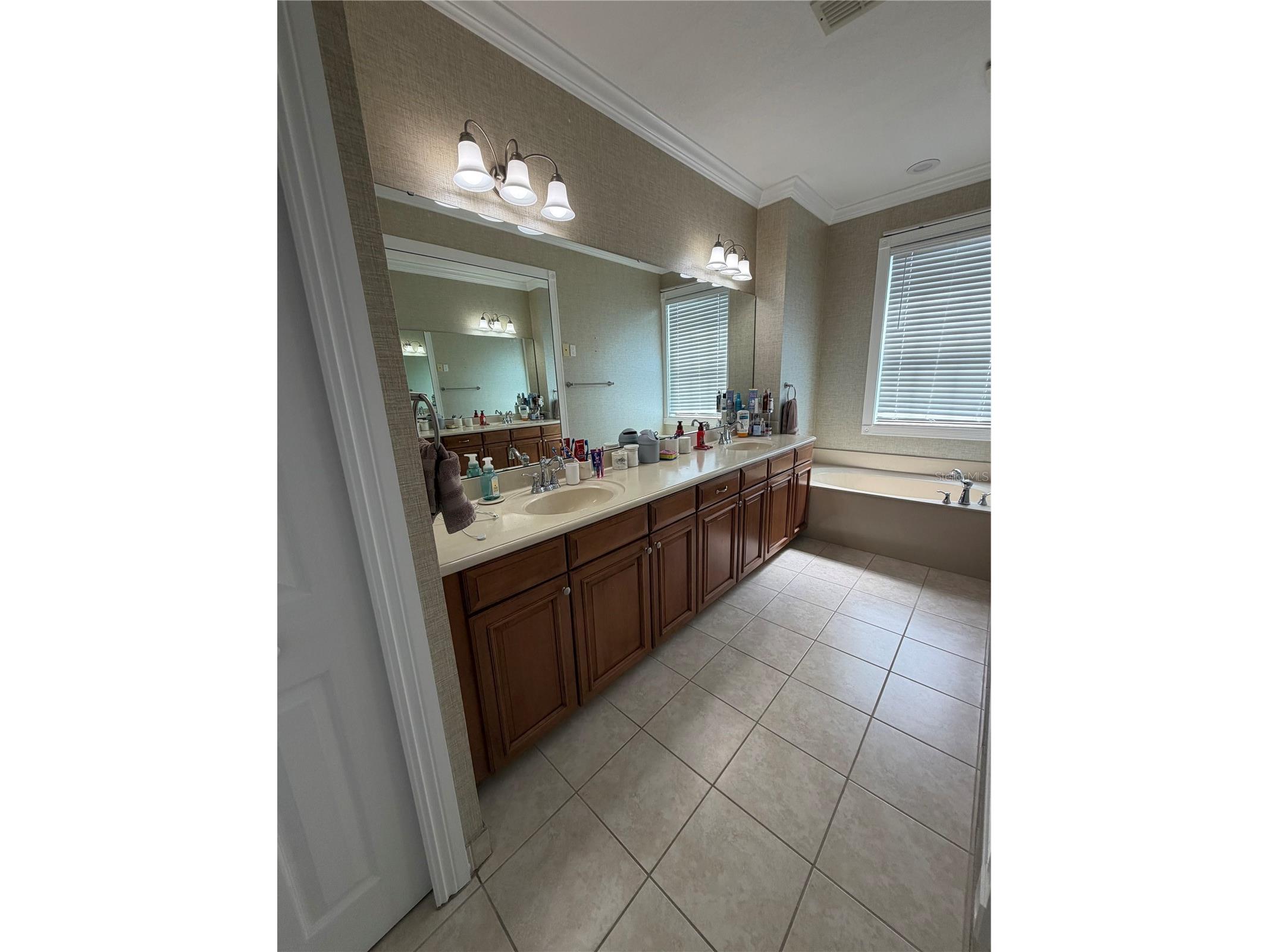 1413 Portofino Meadows Boulevard Orlando FL 32824 O6417267 image19