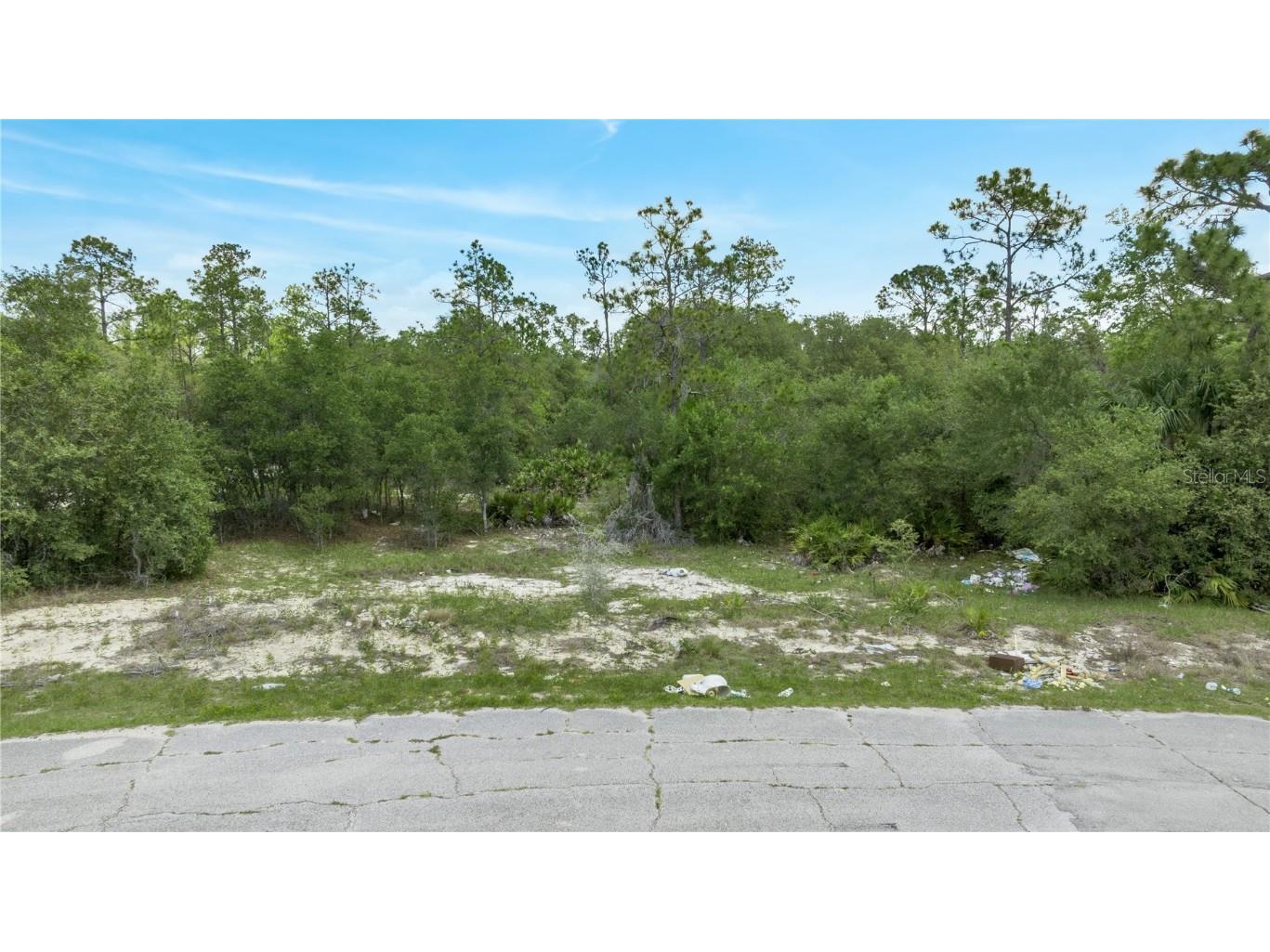 1413 Sarasota Court Poinciana FL 34759 S5084579 image1