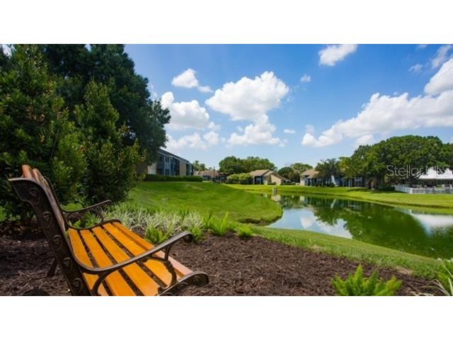 1413 Star Jasmine Lane Brandon FL 33511 U8253997 image15