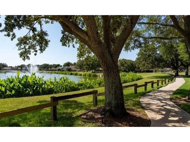 1413 Star Jasmine Lane Brandon FL 33511 U8253997 image3