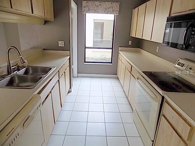 1413 Star Jasmine Lane Brandon FL 33511 U8253997 image5