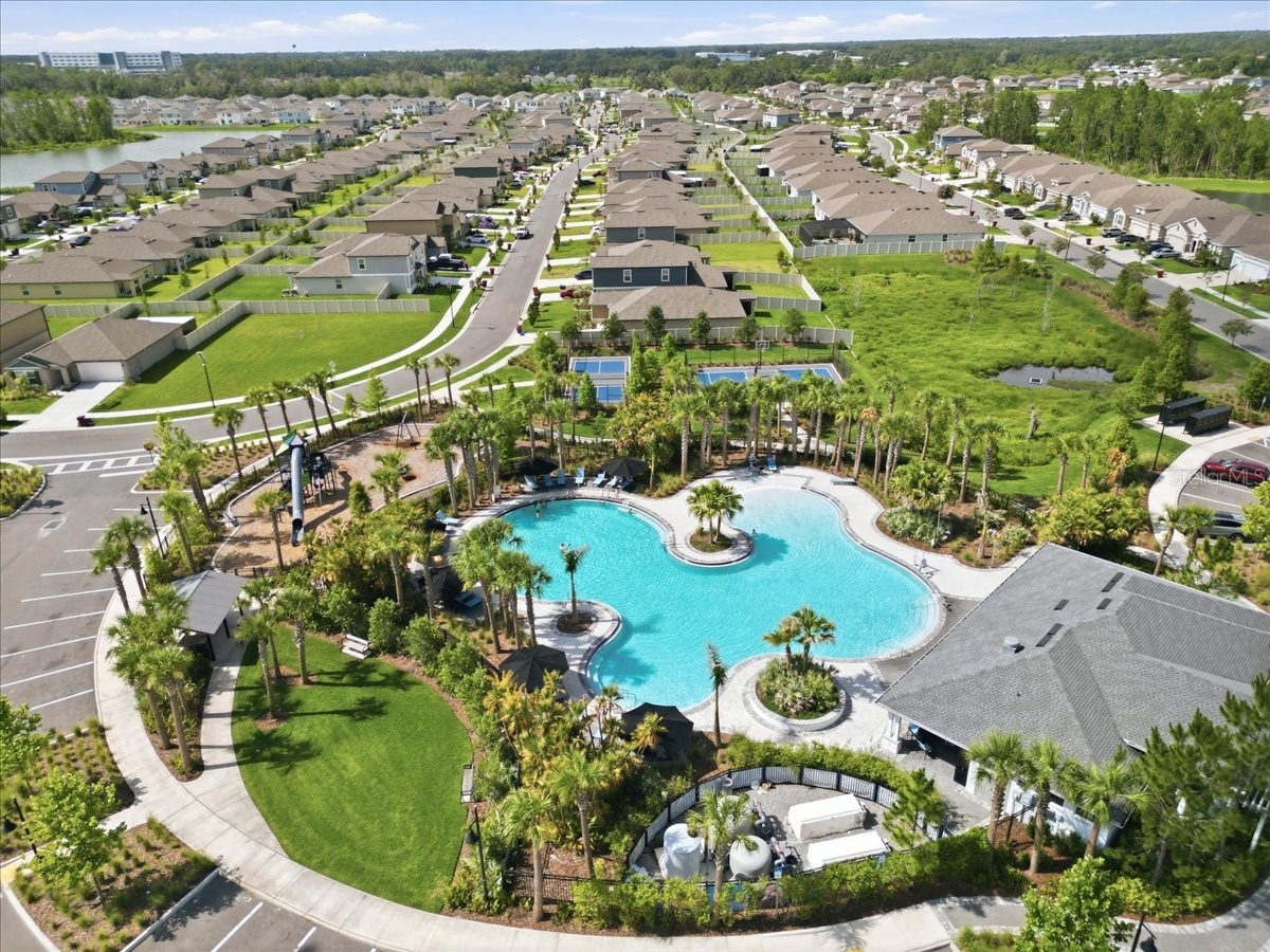 1413 Tropical Oasis Avenue Plant City FL 33565 TB8516751 image36