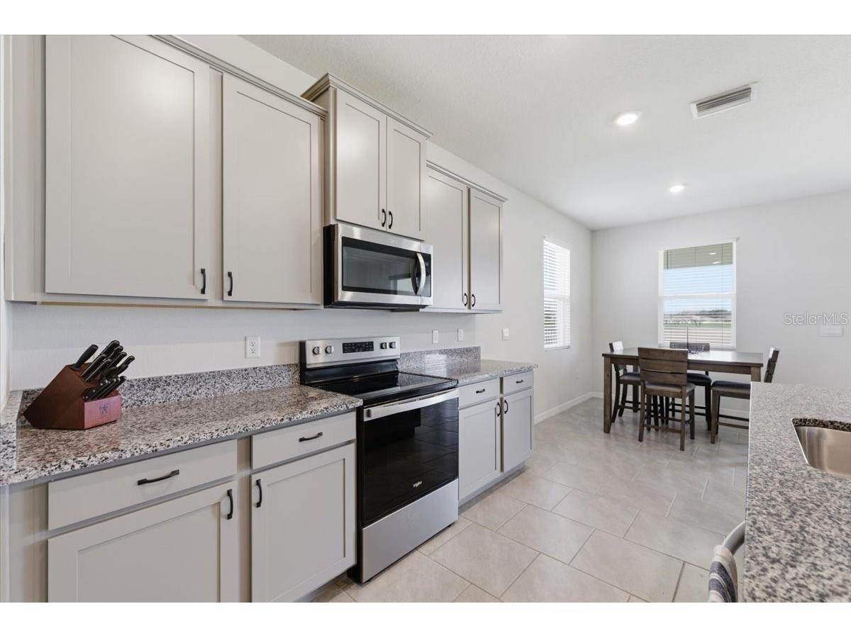 1413 Tropical Oasis Avenue Plant City FL 33565 TB8516751 image7