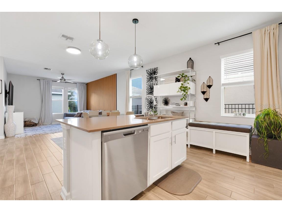 1413 Viscaya Cove Boulevard Winter Garden FL 34787 O6349337 image13