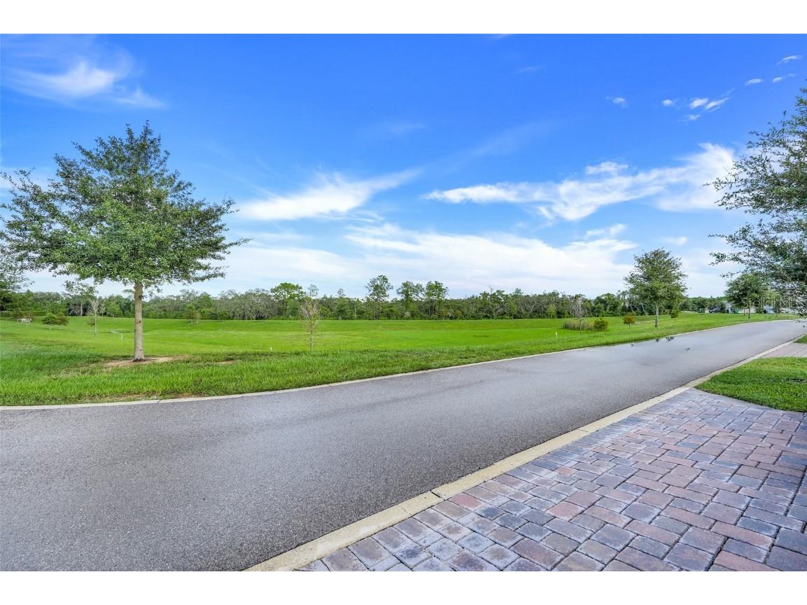 1413 Viscaya Cove Boulevard Winter Garden FL 34787 O6349337 image42