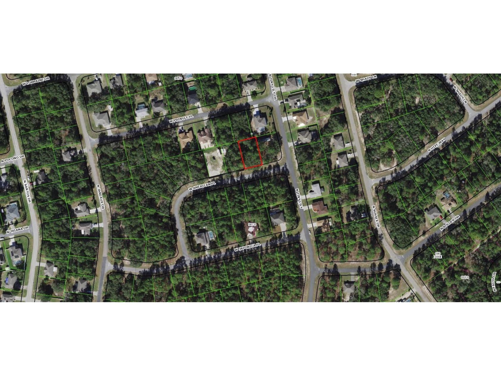 1413 W America Place Citrus Springs FL 34434 OM638215 image1