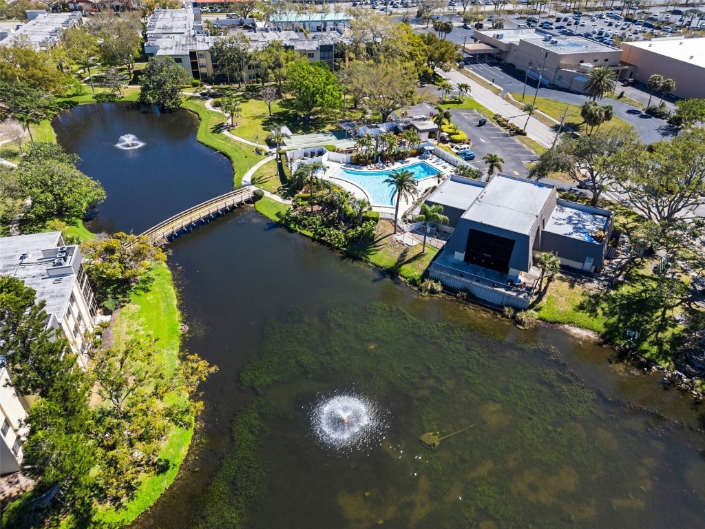 14130 Rosemary Lane #1117 Largo FL 33774 TB8451086 image19