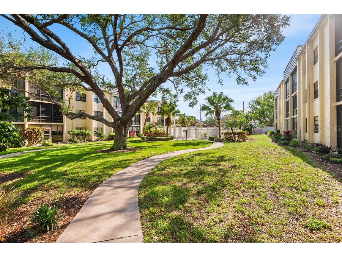 14130 Rosemary Lane #1202 Largo FL 33774 TB8442020 image33