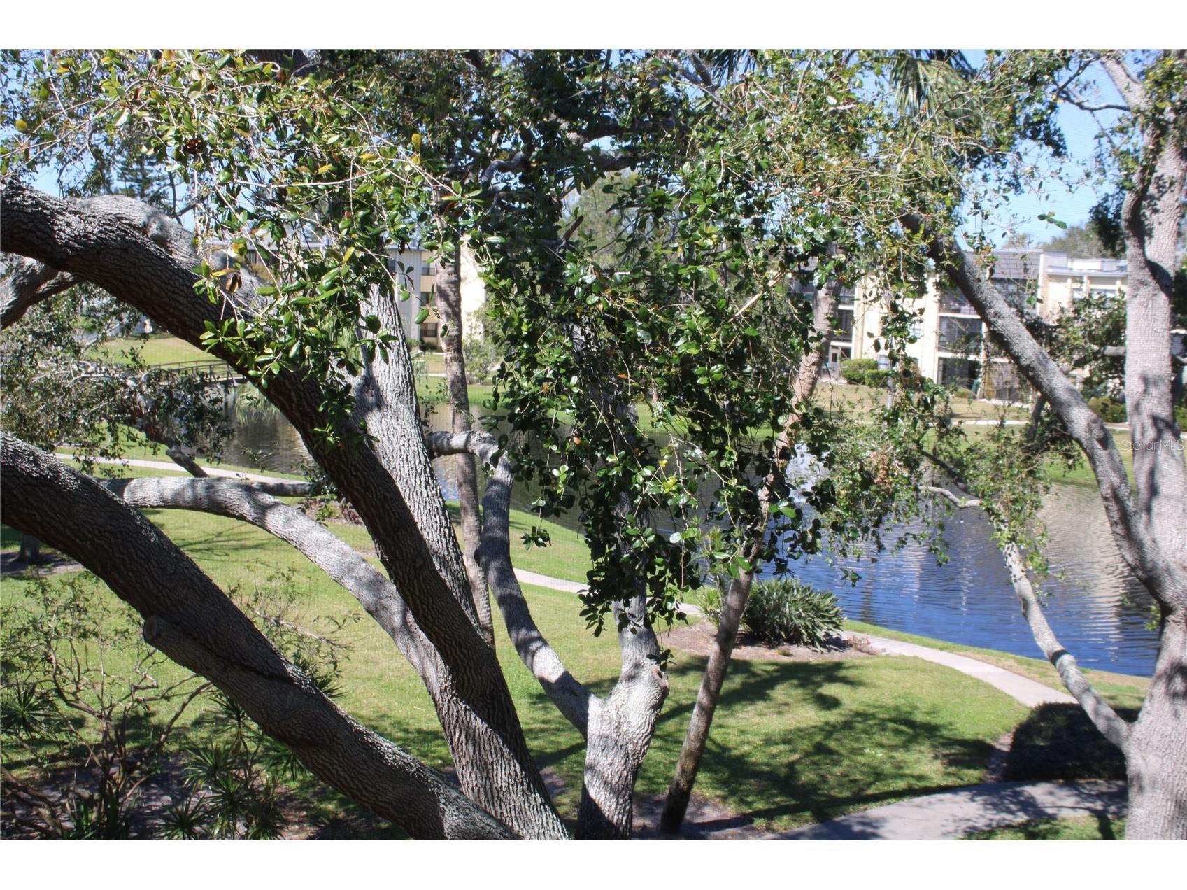 14130 Rosemary Lane #1305 Largo FL 33774 TB8472905 image3