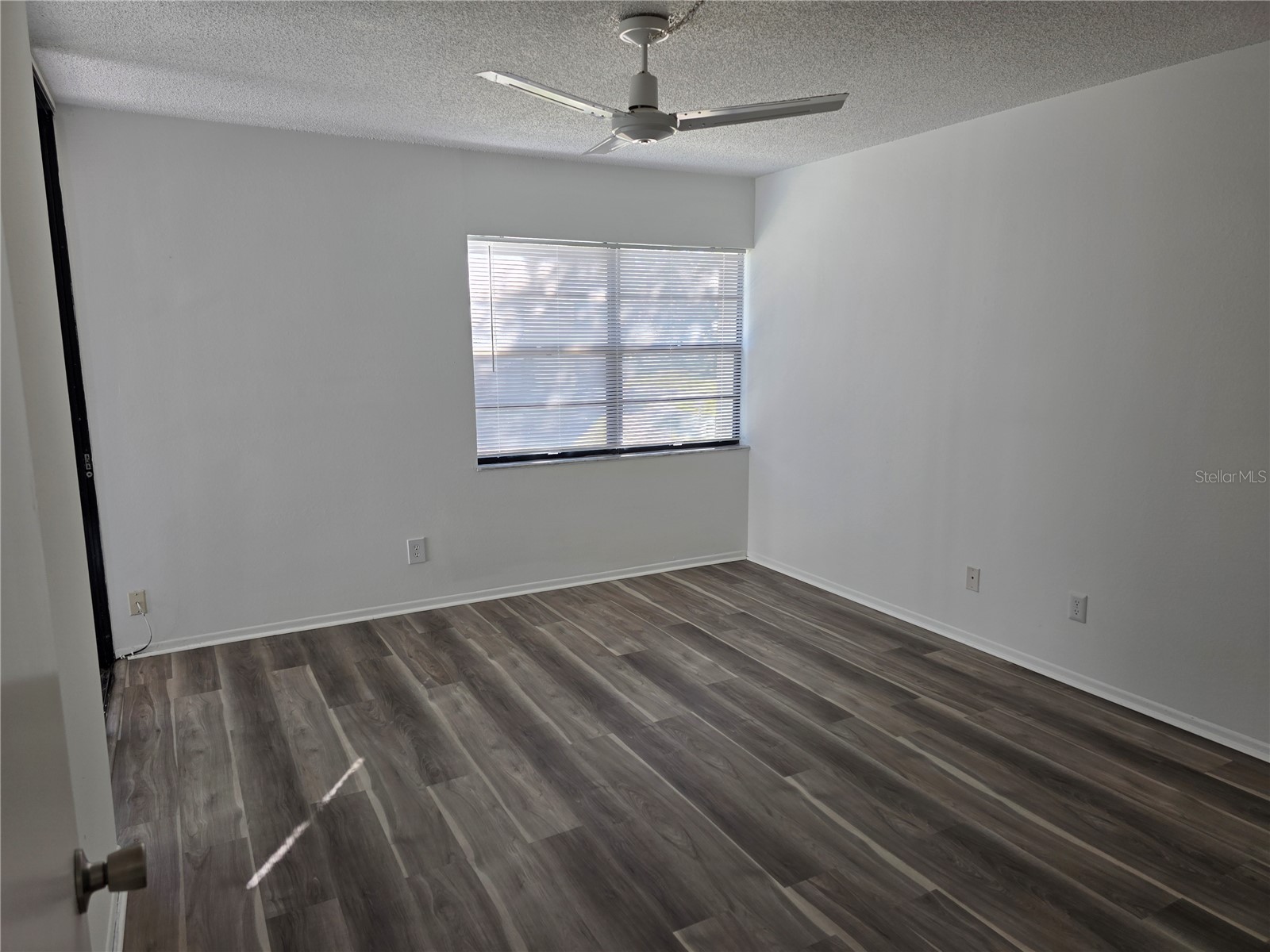 14130 Rosemary Lane #2208 Largo FL 33774 TB8470759 image16