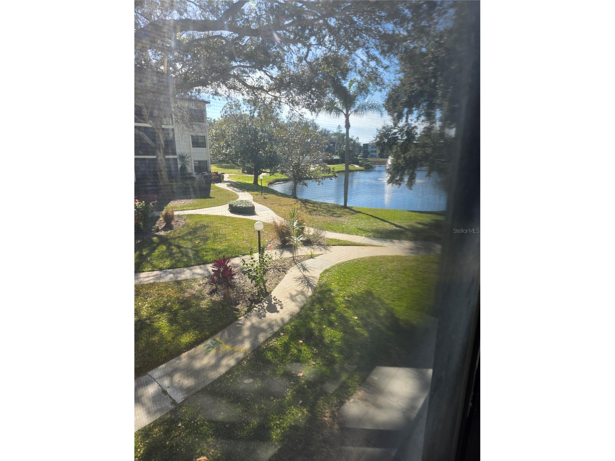 14130 Rosemary Lane #2208 Largo FL 33774 TB8470759 image22