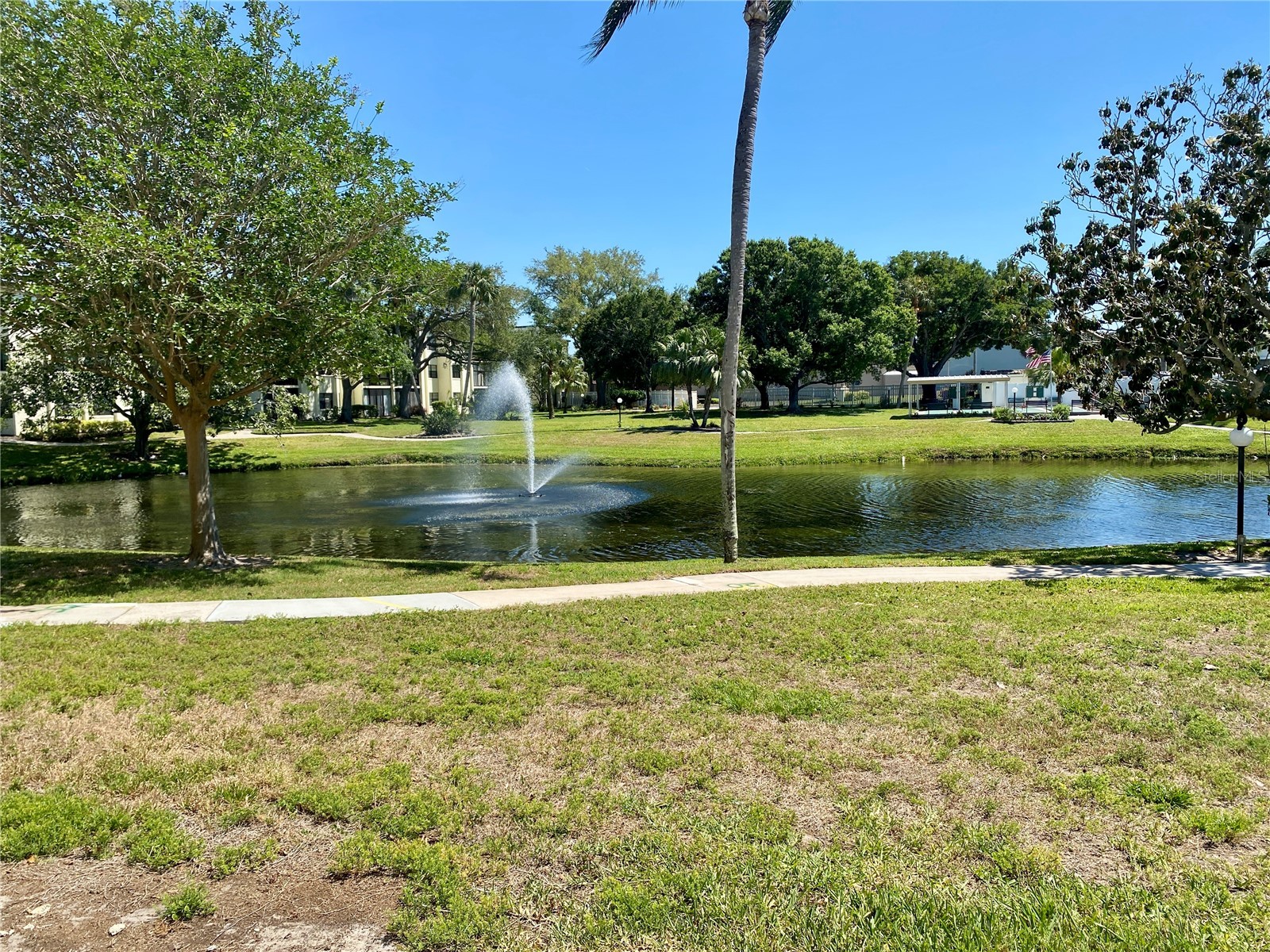 14130 Rosemary Lane #3112 Largo FL 33774 TB8497816 image40