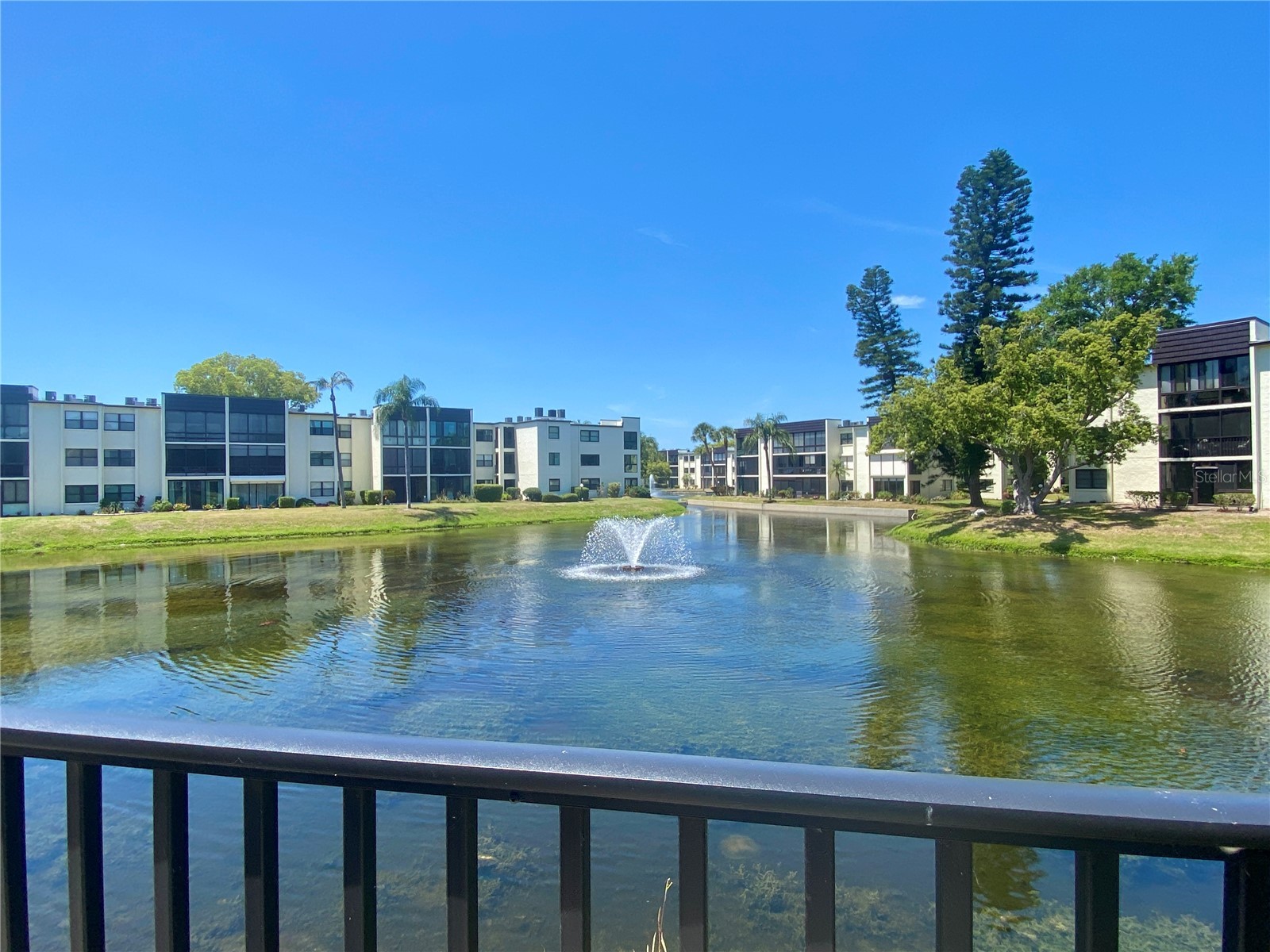 14130 Rosemary Lane #3112 Largo FL 33774 TB8497816 image52