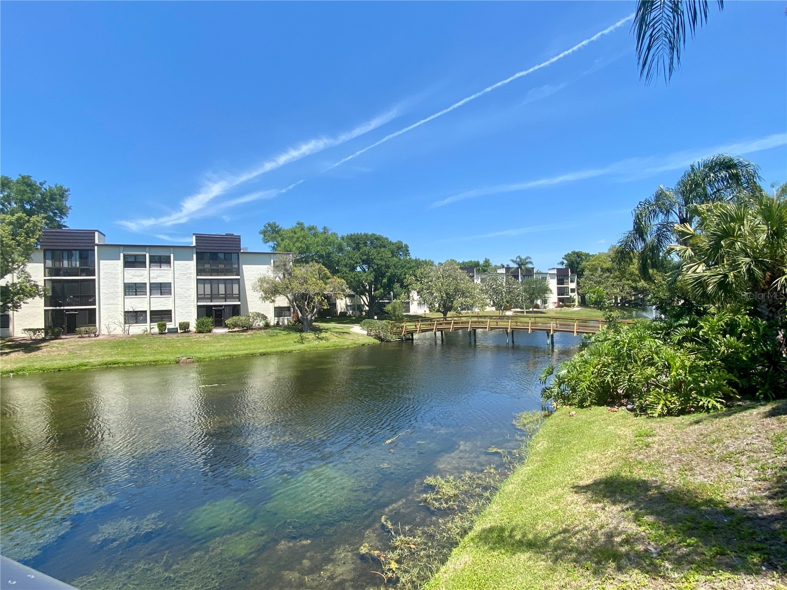 14130 Rosemary Lane #3112 Largo FL 33774 TB8497816 image55