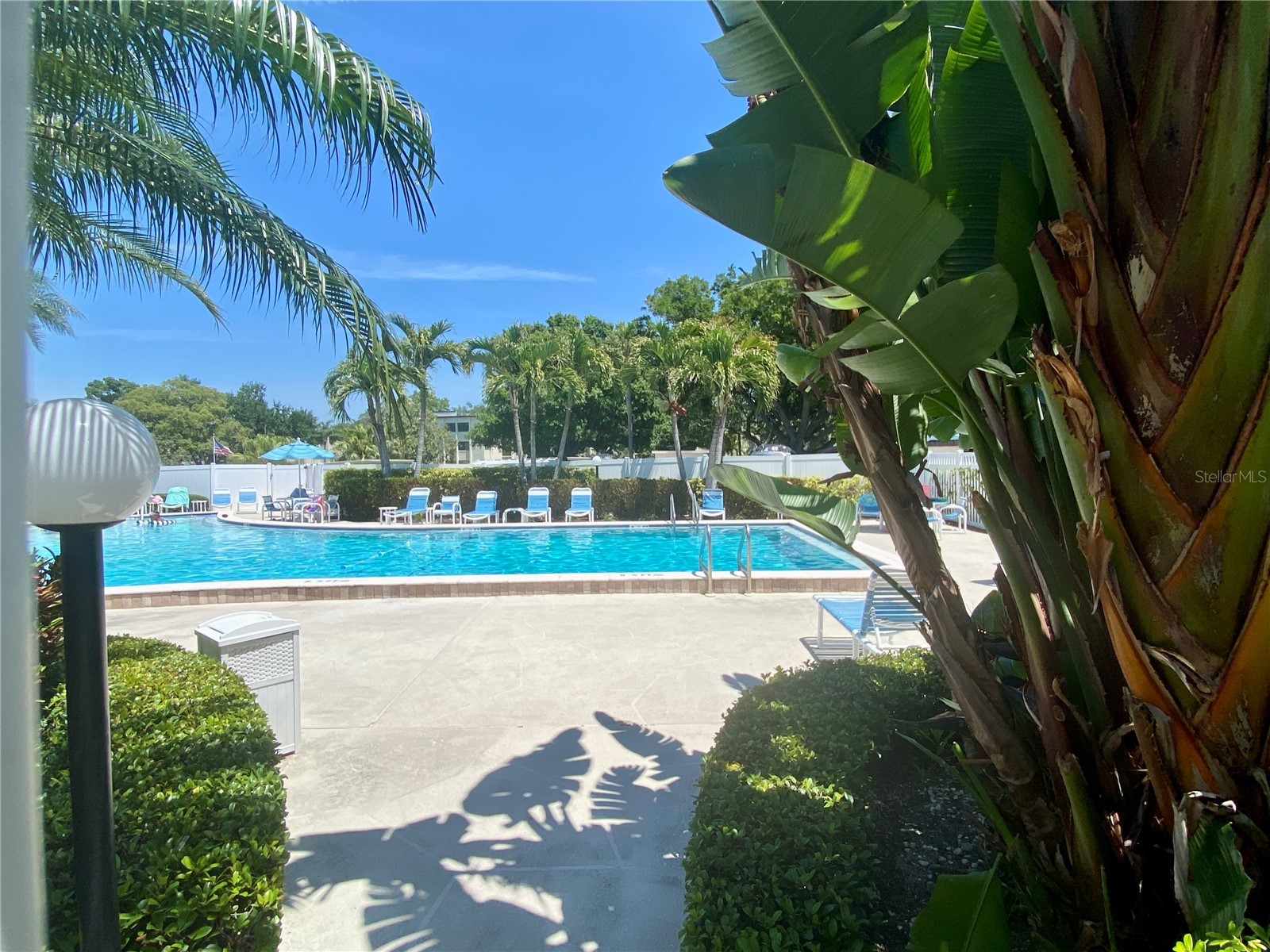 14130 Rosemary Lane #3112 Largo FL 33774 TB8497816 image67