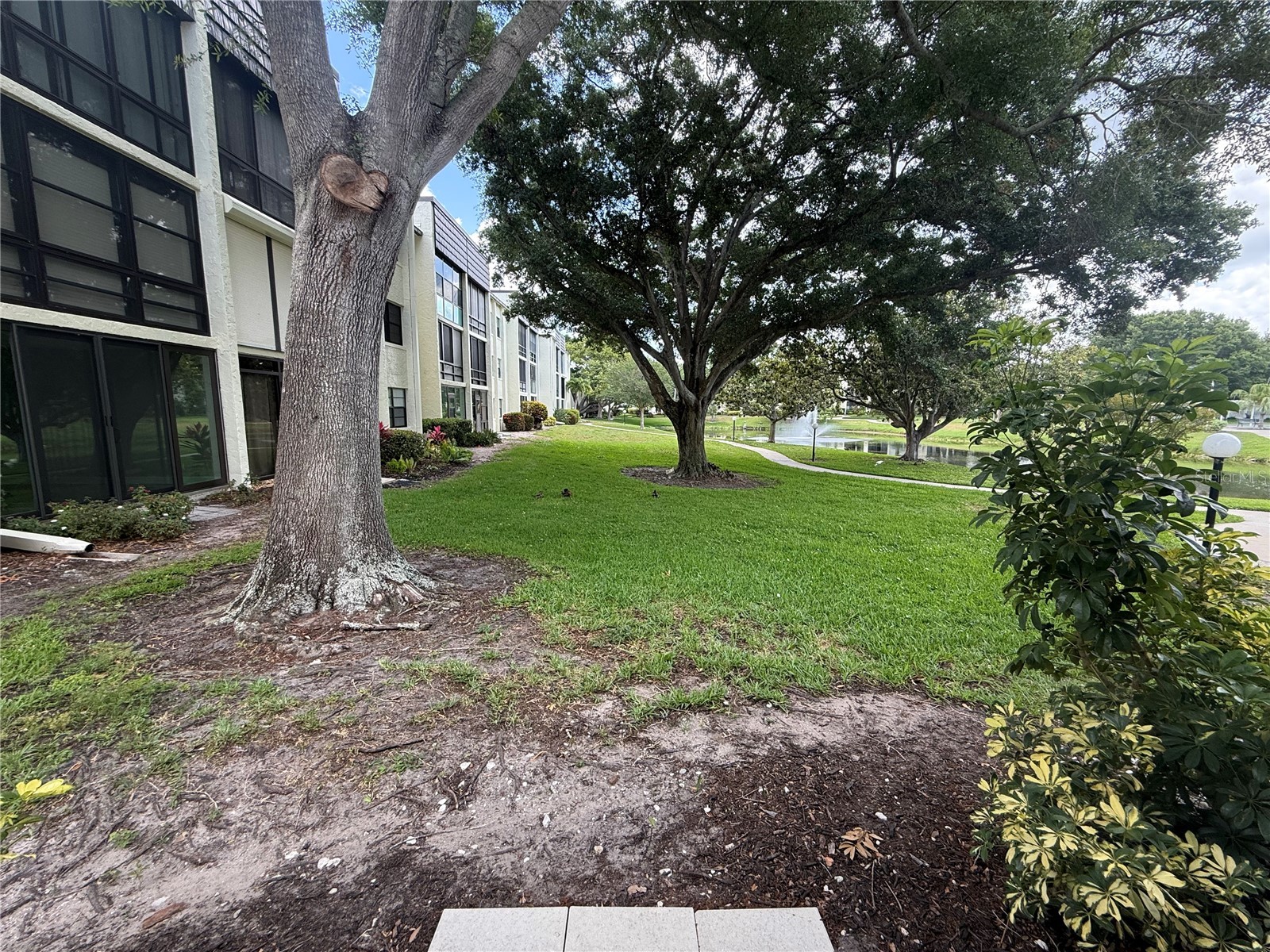 14130 Rosemary Lane #3118 Largo FL 33774 TB8510206 image27