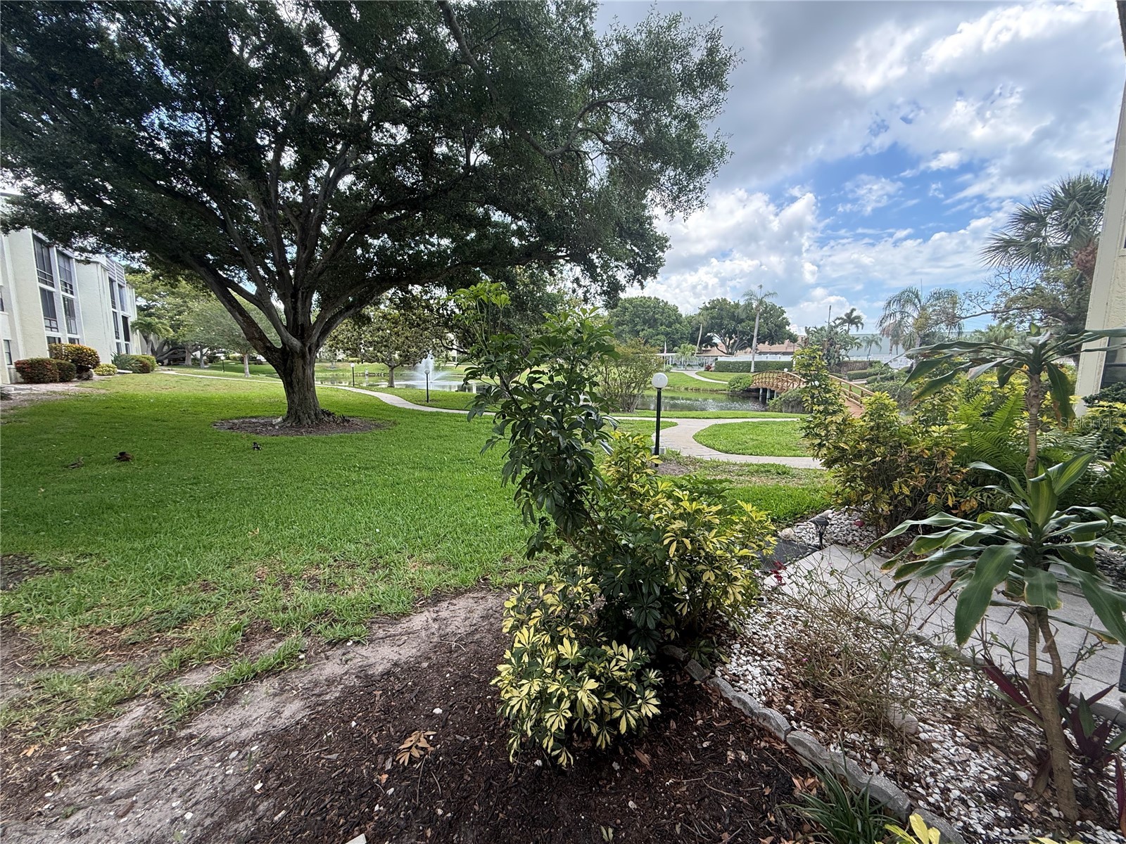 14130 Rosemary Lane #3118 Largo FL 33774 TB8510206 image28