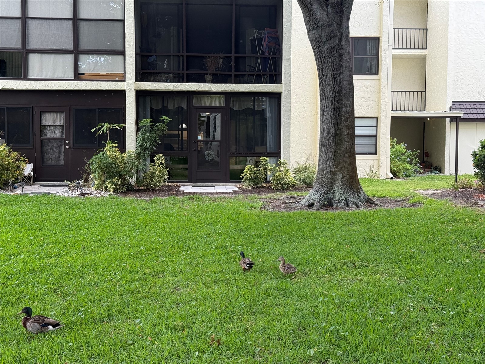 14130 Rosemary Lane #3118 Largo FL 33774 TB8510206 image31