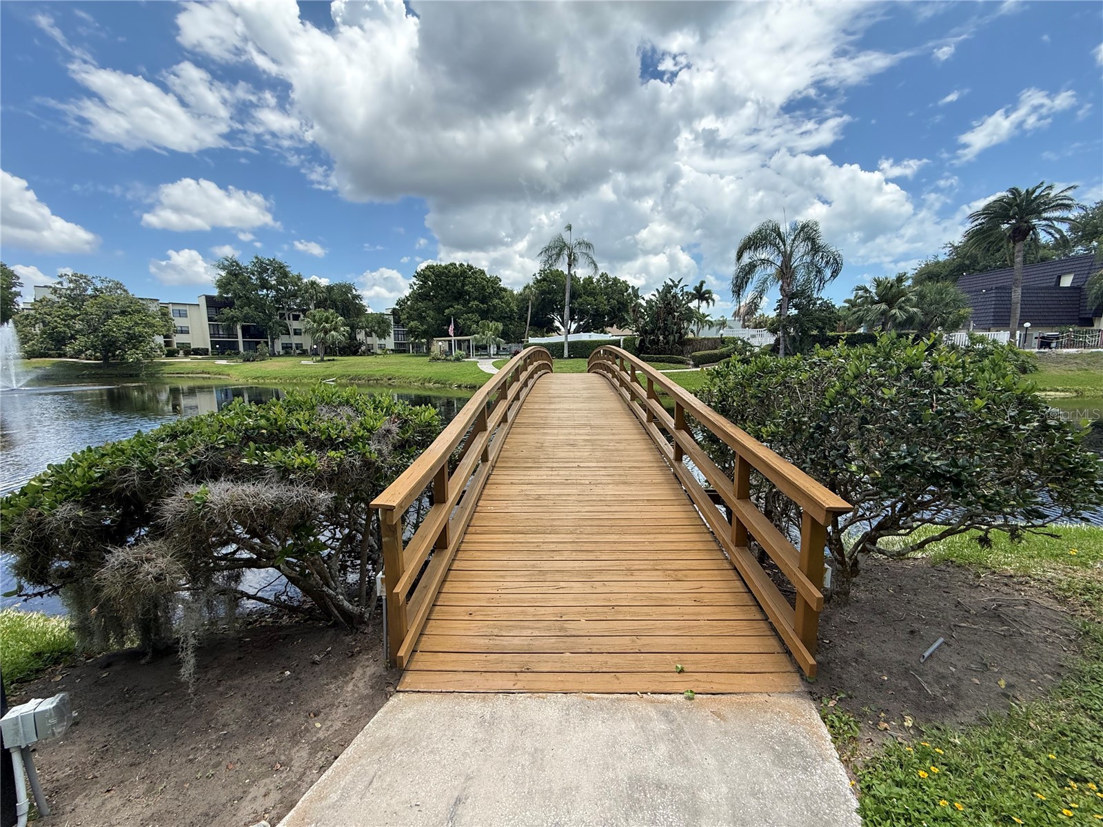 14130 Rosemary Lane #3118 Largo FL 33774 TB8510206 image34