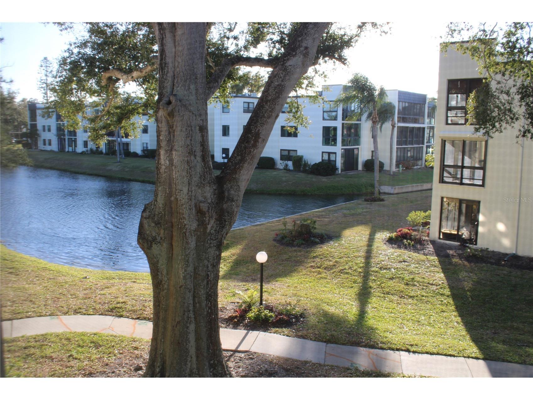 14130 Rosemary Lane #3203 Largo FL 33774 TB8473600 image1