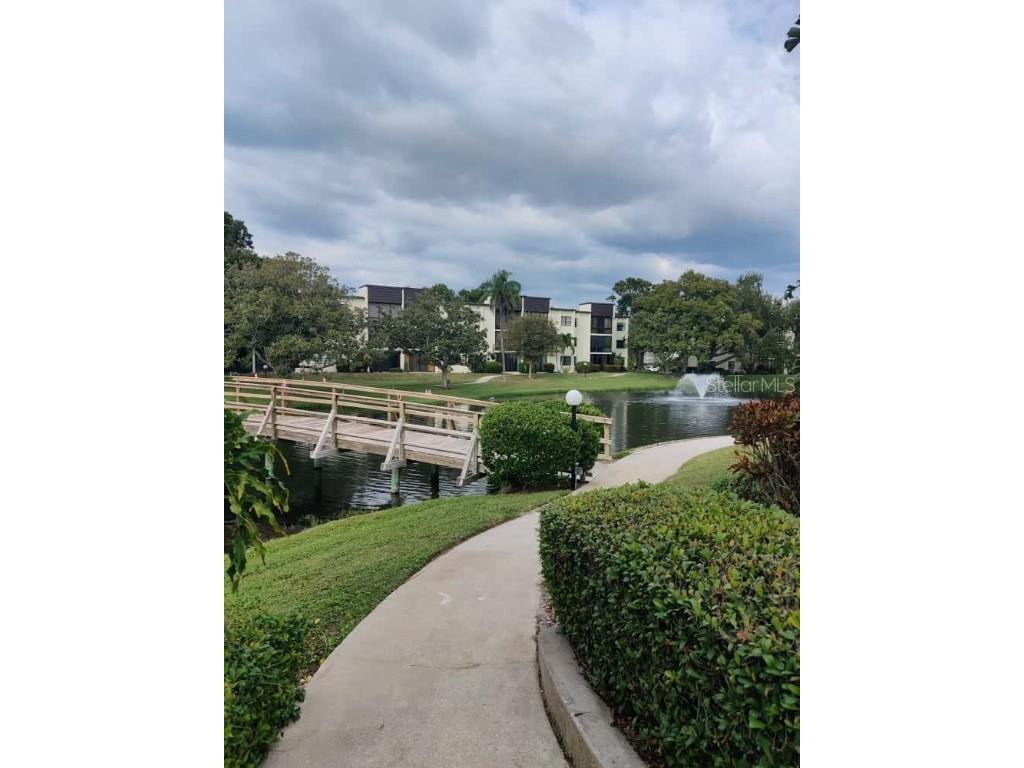 14130 Rosemary Lane #3207 Largo FL 33774 TB8438549 image25