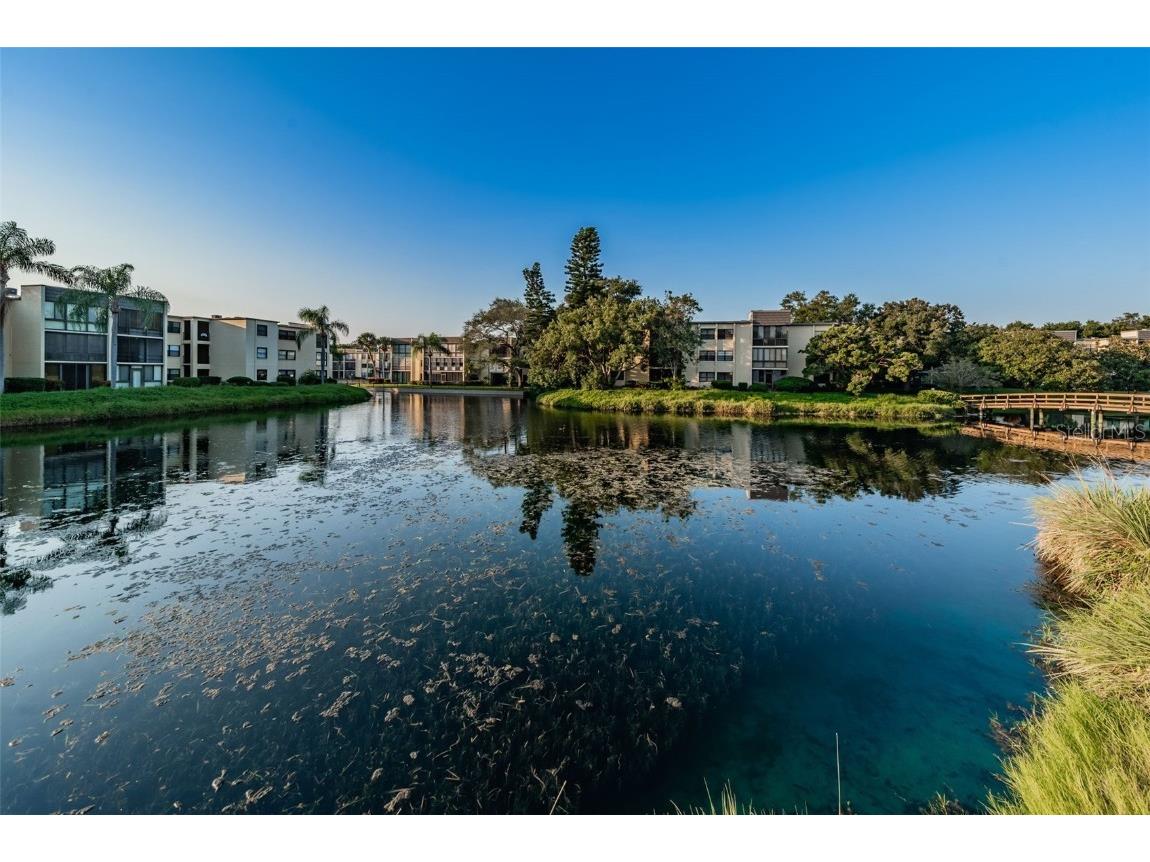 14130 Rosemary Lane #3306 Largo FL 33774 TB8404906 image35