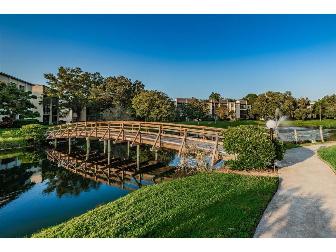 14130 Rosemary Lane #3306 Largo FL 33774 TB8404906 image43