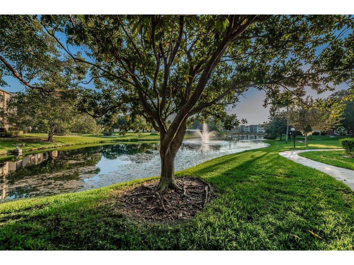 14130 Rosemary Lane #3306 Largo FL 33774 TB8404906 image46