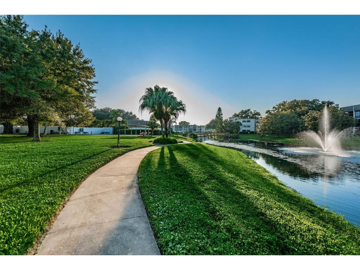 14130 Rosemary Lane #3306 Largo FL 33774 TB8404906 image49