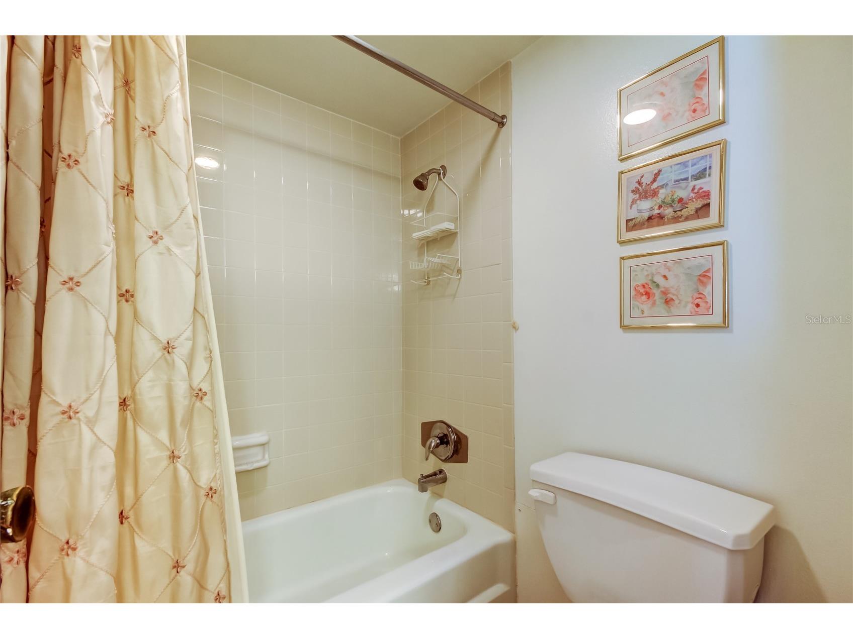 14130 Rosemary Lane #3312 Largo FL 33774 TB8366306 image29