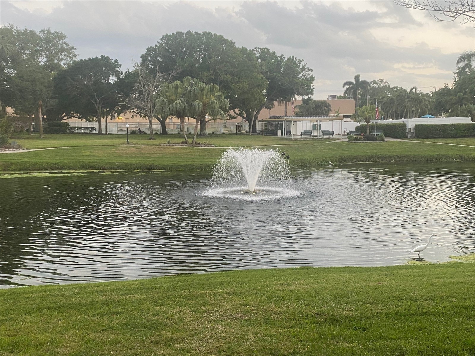 14130 Rosemary Lane #3312 Largo FL 33774 TB8366306 image44