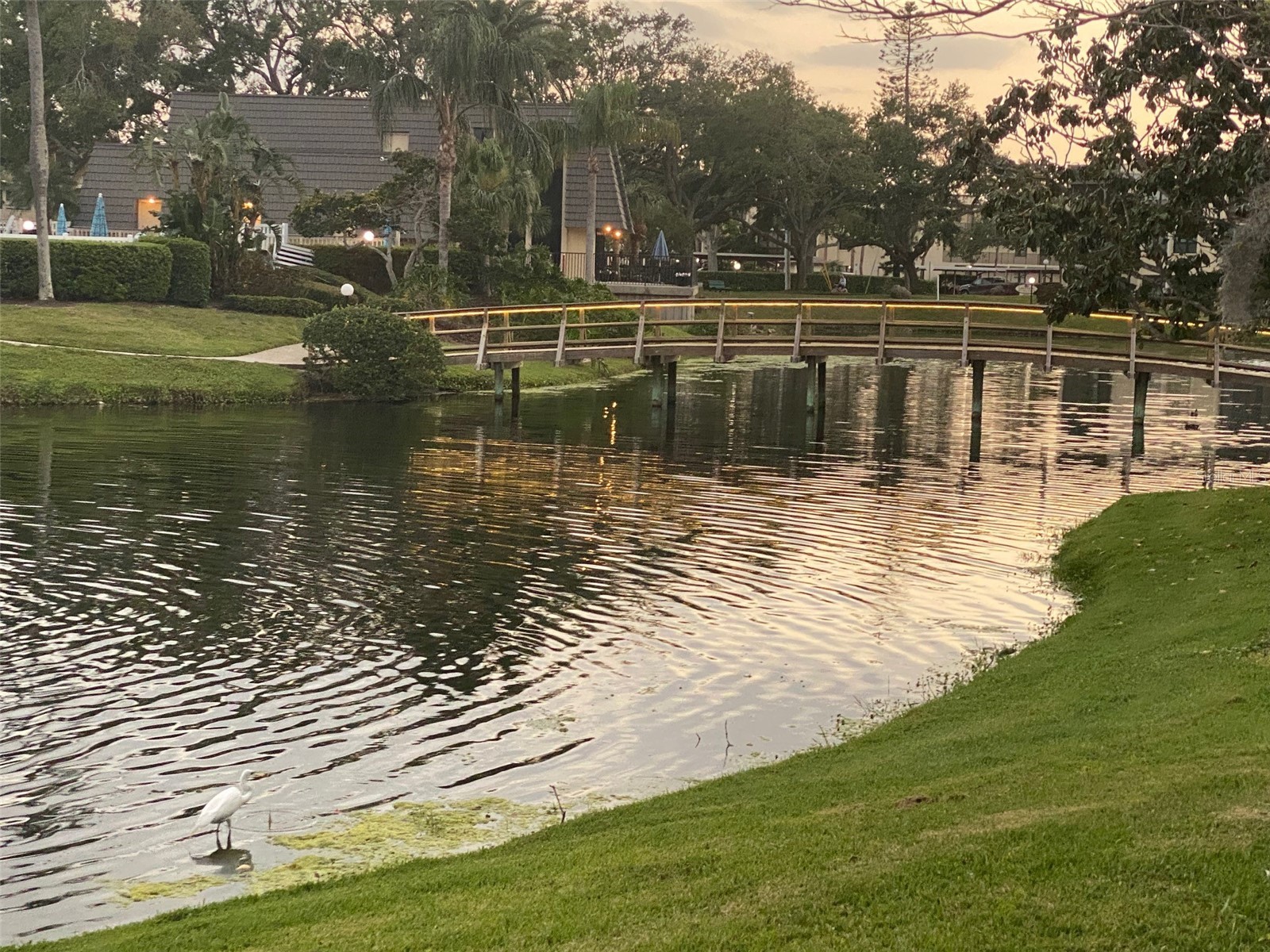 14130 Rosemary Lane #3312 Largo FL 33774 TB8366306 image45