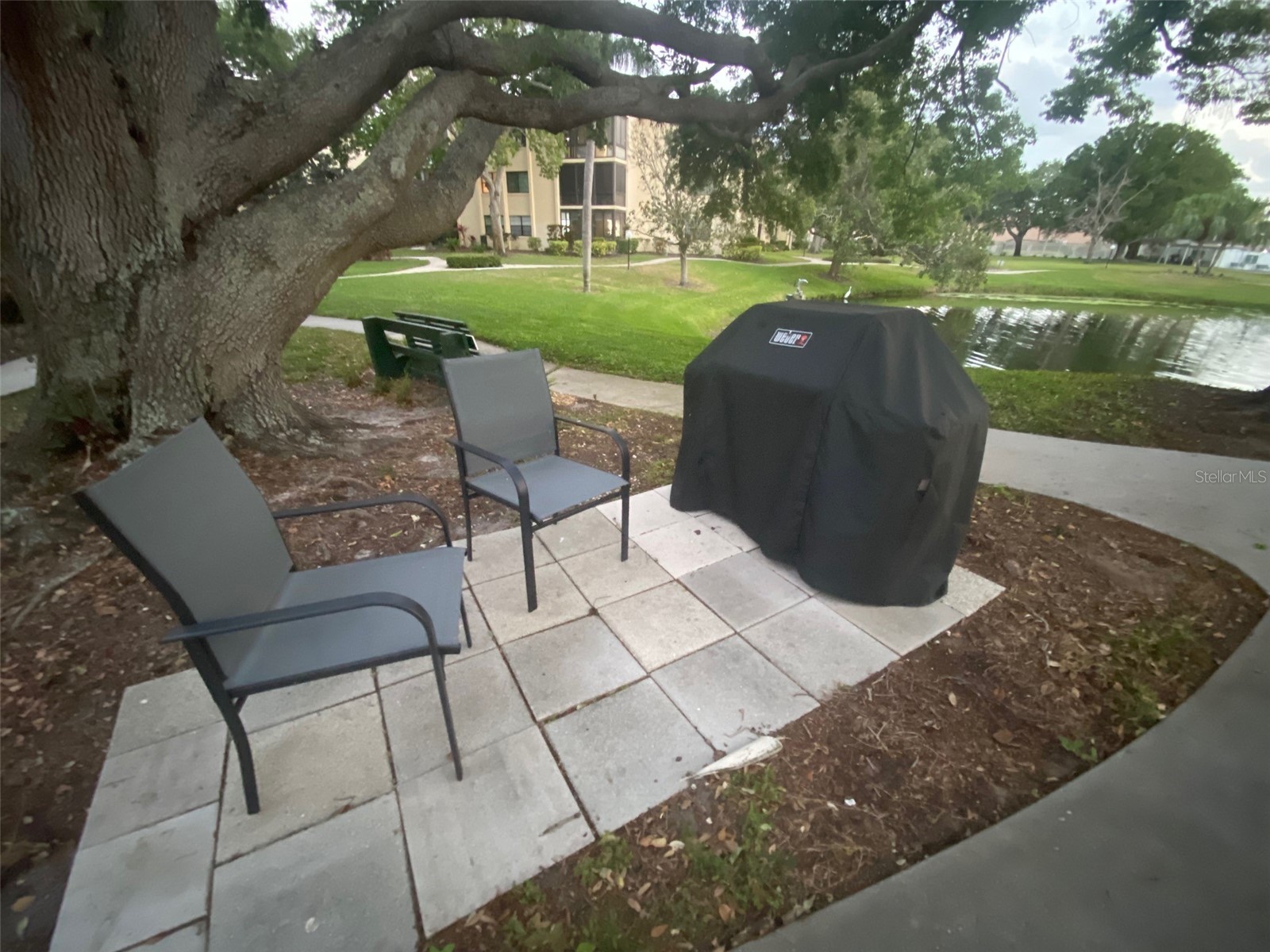 14130 Rosemary Lane #3312 Largo FL 33774 TB8366306 image54