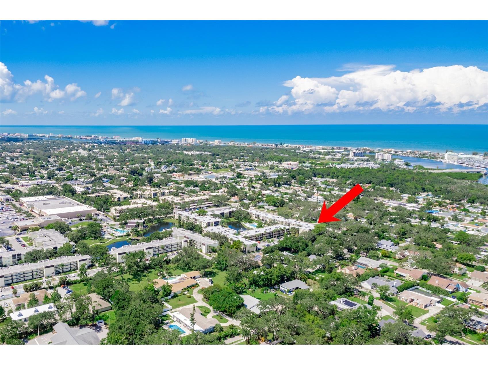 14130 Rosemary Lane #5114 Largo FL 33774 TB8420458 image17