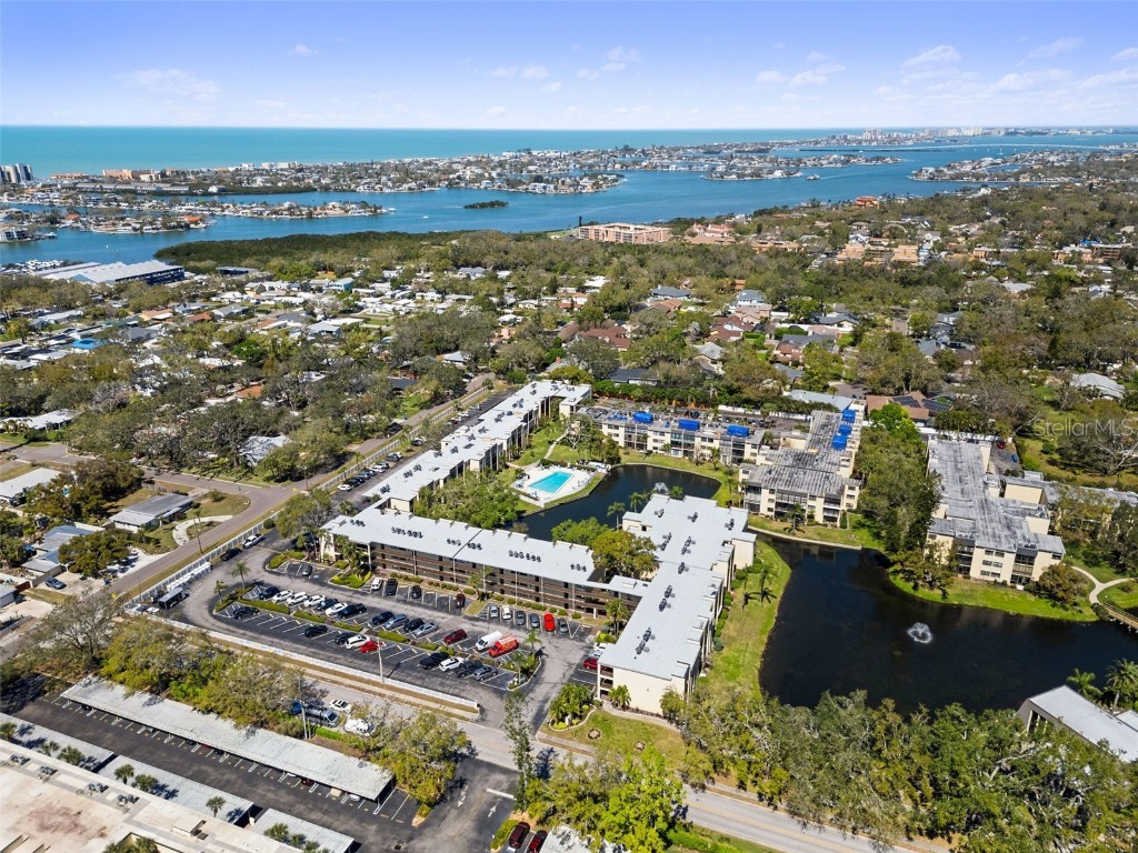 14130 Rosemary Lane #5308 Largo FL 33774 TB8448084 image24