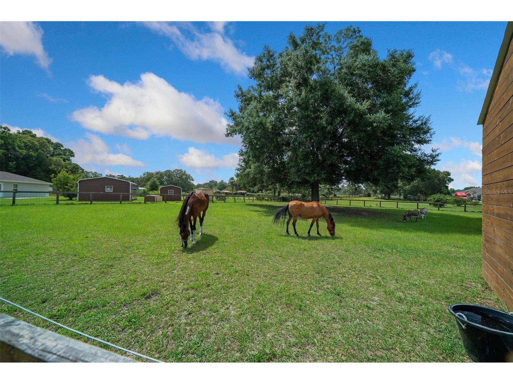 14130 SW 8th Avenue Ocala FL 34473 OM693766 image39