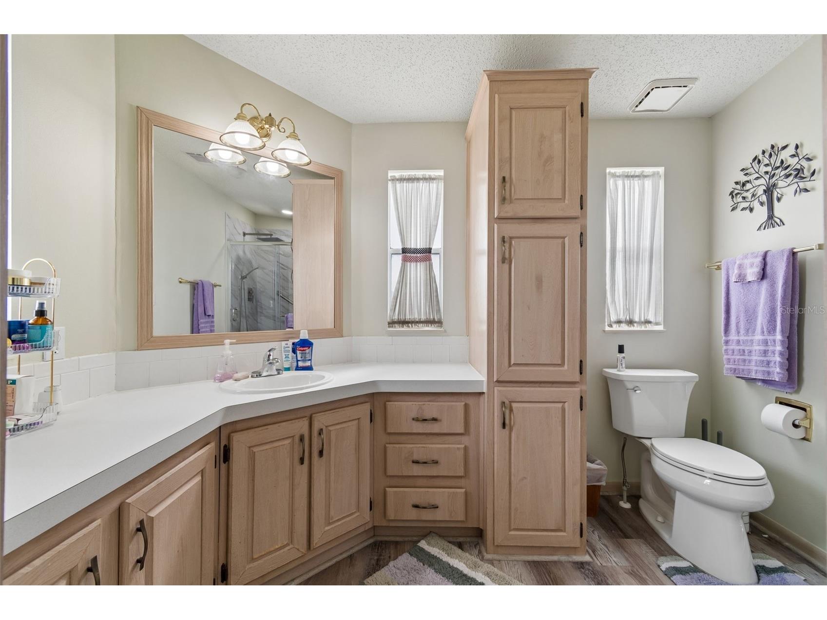 14131 Delsilver Drive Brooksville FL 34613 TB8500056 image23