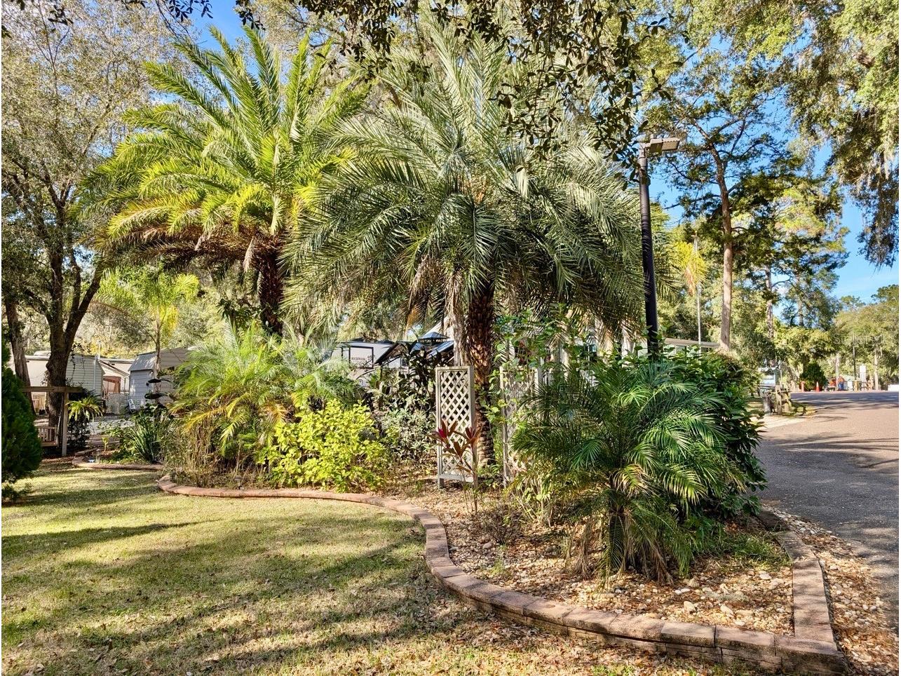 14131 NE 253rd Avenue Road Salt Springs FL 32134 - LITTLE LAKE KERR OM717736 image19