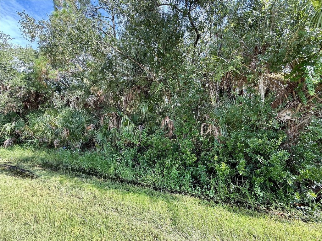 14138 Canadian Ave Port Charlotte FL 33953 C7513399 image1