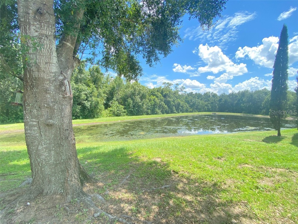 14138 Econ Woods Lane Orlando FL 32826 O6333896 image58