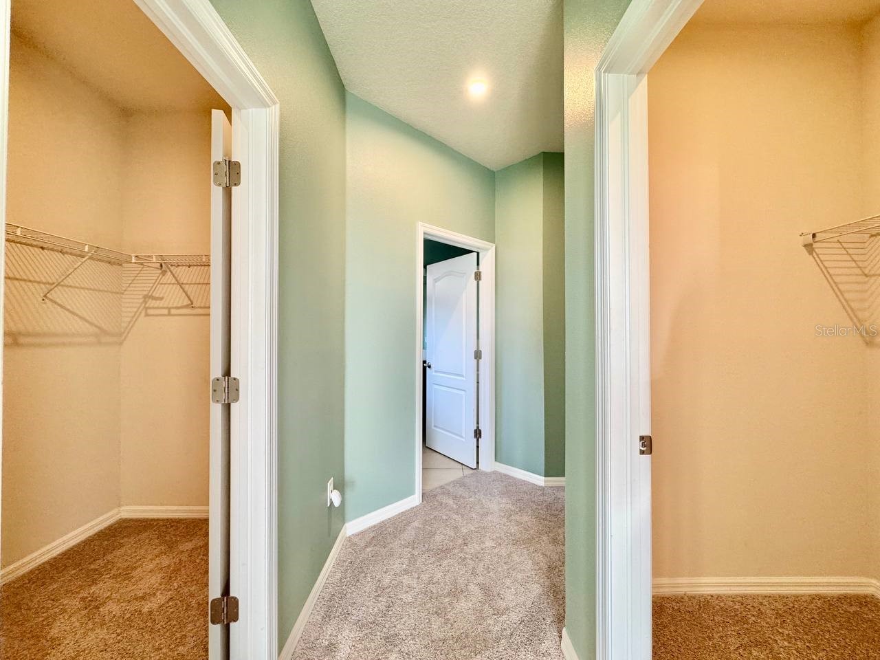 14138 Poke Ridge Drive Riverview FL 33579 TB8488883 image15