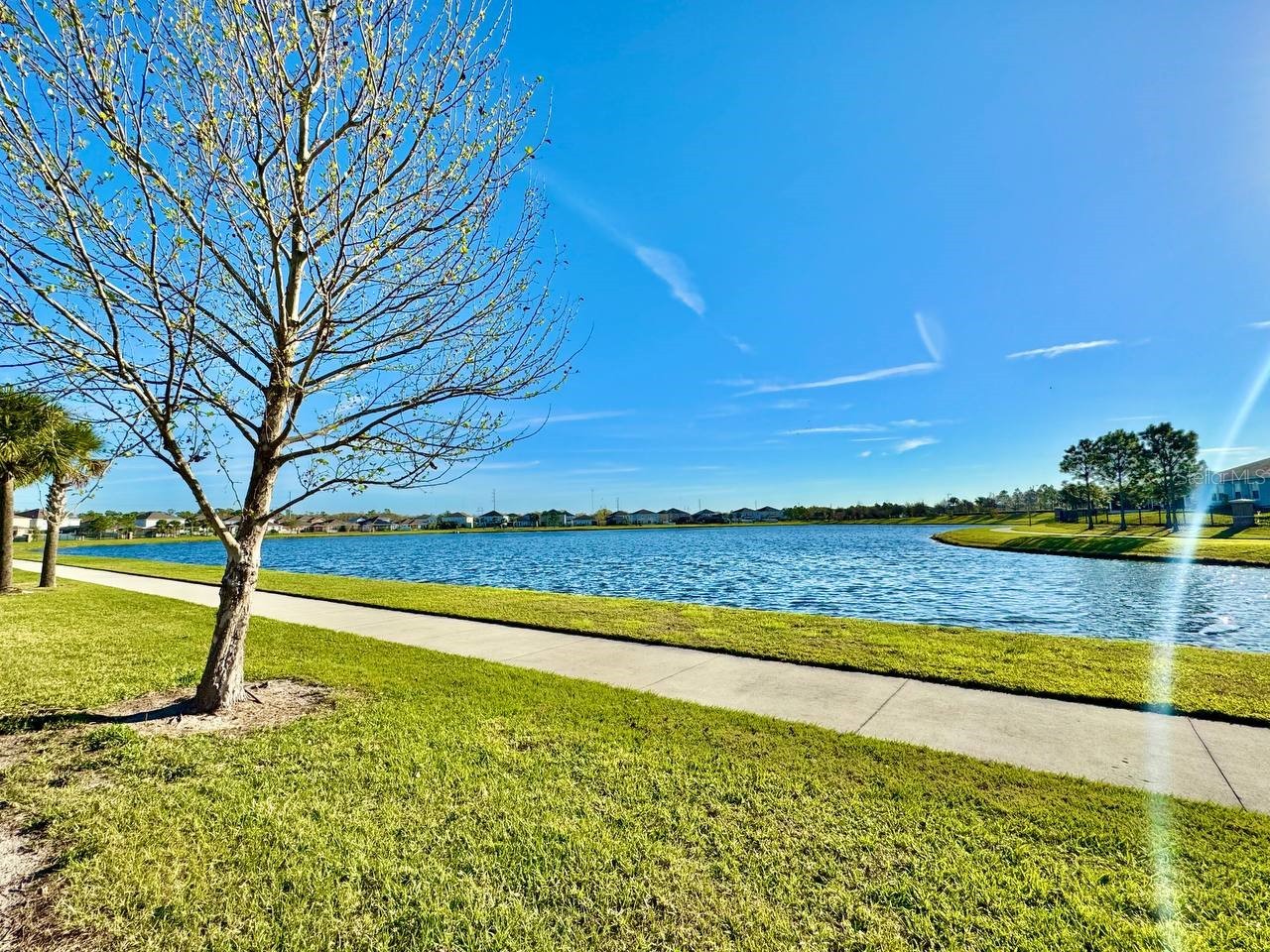 14138 Poke Ridge Drive Riverview FL 33579 TB8488883 image33