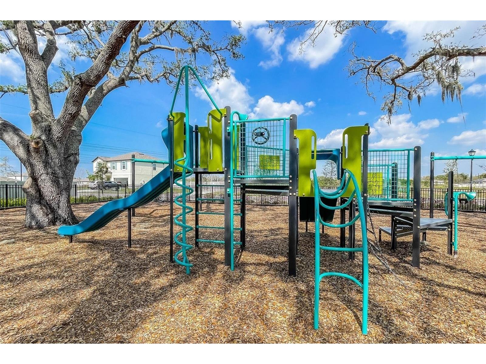 14138 Poke Ridge Drive Riverview FL 33579 TB8488883 image34