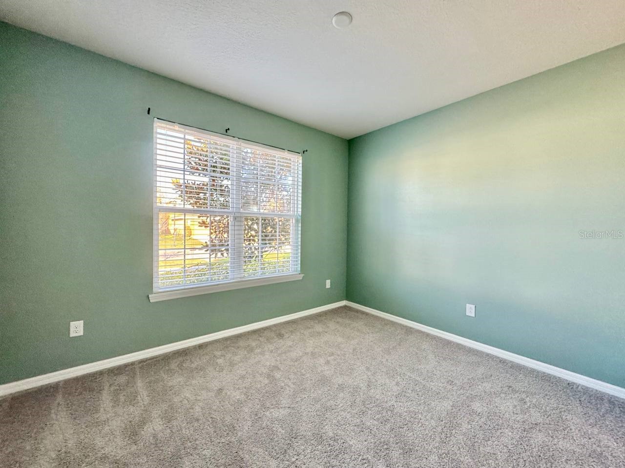 14138 Poke Ridge Drive Riverview FL 33579 TB8488883 image4